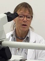Elisabet Englund Professor_Skåne.jpg