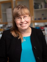 Kerstin Lindblad Toh M Wallerstedt.jpg