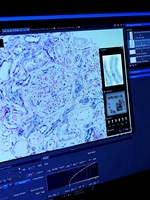 RNA ny....jpg