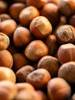 Hasselnötter Foto Unsplash.jpg