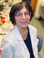 Diana Karpman foto.jpg