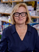 Margit Mahlapuu foto.jpg